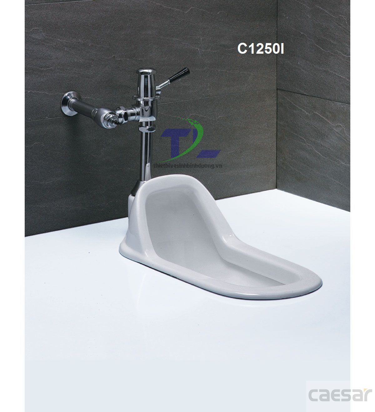 Bồn cầu sứ CAESAR CT1250